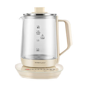 荣事达多功能养生壶