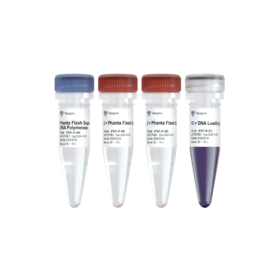 Phanta Flash Super-Fidelity DNA Polymerase