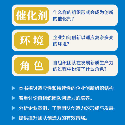 自组织团队持续创造力 把握企业发展新质生产力的引擎 创新团队的组建与运作 团队* 高校研究创新协作 商品图3