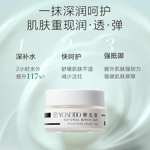【327元会员福利】养生堂天然桦树汁补水保湿霜50g送桦树汁补水保湿面膜24ml*2片 商品图1