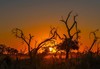 非洲南部三国狂野行摄13天（猎奇） 商品缩略图2