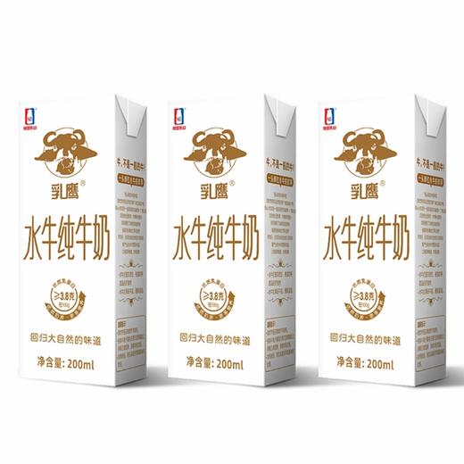 乳鹰 水牛纯奶200ml*20盒 商品图4