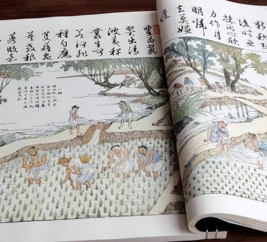 特惠《御制耕织图》，宣纸线装，筒子页，六合函套装，8开，850*1168mm，华东师范大学出版社2015年一版七印，定价580，售价188元。品相描述见后。 商品图9