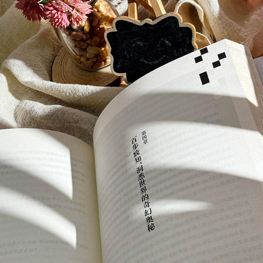 学校课程文化的实践脉络 百步梯课程的逻辑与架构 基于文化重构的学校特色课程建设 学校特色文化构建 小学案例 商品图12