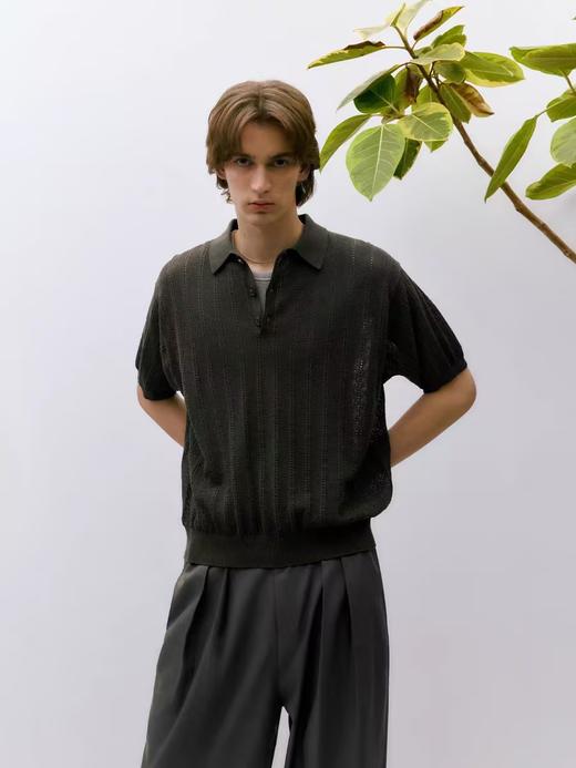 EviStub/E-4XMY625/四色可机洗钩针绞花透气复古翻领短袖POLO衫 商品图2