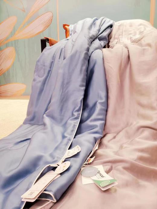 恐龙ES莱赛尔抗菌大豆纤维夏被200*230 商品图1