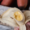 【福建 · 四大蕉子】苹果蕉+高山蕉+红美人蕉+皇帝蕉（米蕉），同时享受四种美味，香甜软糯、口口留香 商品缩略图4