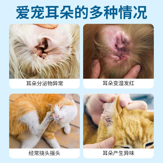 仅供实体（地钱门）洗耳液 500ml*2瓶+（地钱门）洗耳液 100ml*1瓶 商品图2