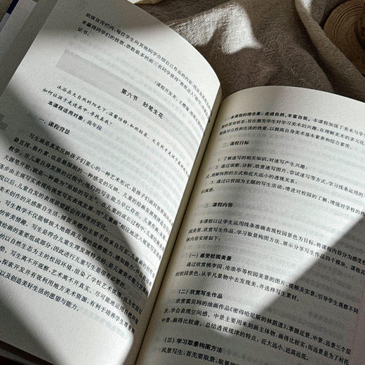 学校课程文化的实践脉络 百步梯课程的逻辑与架构 基于文化重构的学校特色课程建设 学校特色文化构建 小学案例 商品图10