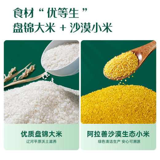 【新品上市】英氏婴幼儿粒粒面无小麦无麸质加铁宝宝短面 商品图4