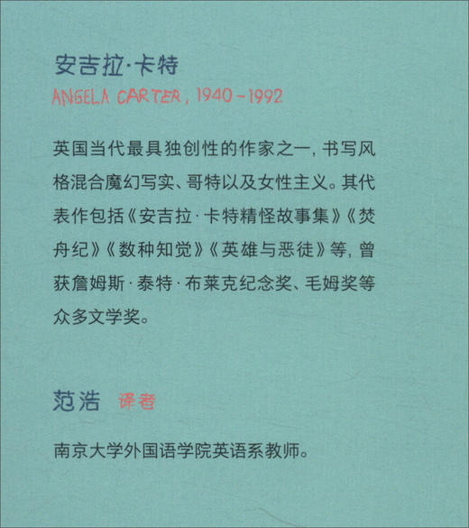 【绝版图书】海猫与龙王（英）安吉拉·卡特 著 爱娃·塔恰娃 绘 上河文化 商品图3