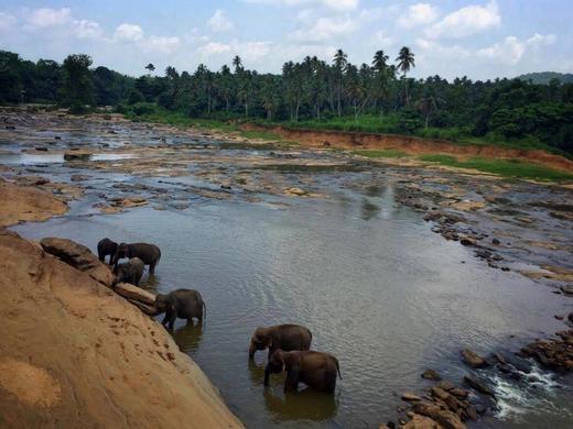 氧气旅行团—兰卡·私享家7天5晚亲子之旅 商品图3