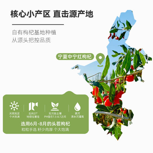 早康鲜枸杞原浆 宁夏中宁鲜果枸杞汁便携装30ml*7袋*12盒 商品图2