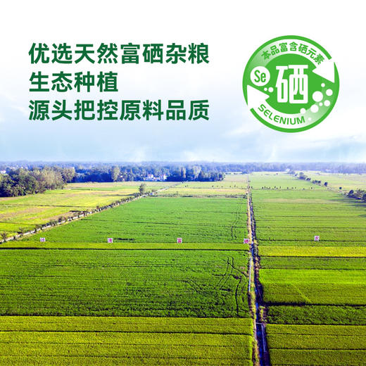 「4袋礼盒装！富硒米」富硒大米礼盒4袋4斤装 端午福利大米会销礼品 商品图2