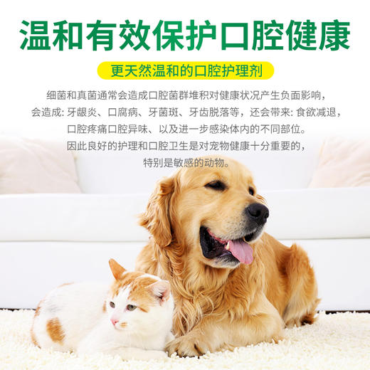 德国 cdVet 施德维特 牙齿护理喷雾 20ml（礼盒含喷头） 商品图2