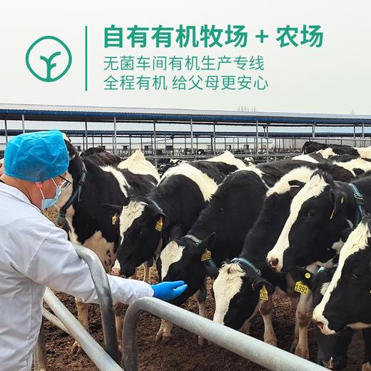 【SGS检测均未检出 专为40+中老年体质研发有机高钙牛奶粉】高钙高蛋白+7联益生菌+维生素+微量元素，无蔗糖，助力骨骼补充钙 商品图2