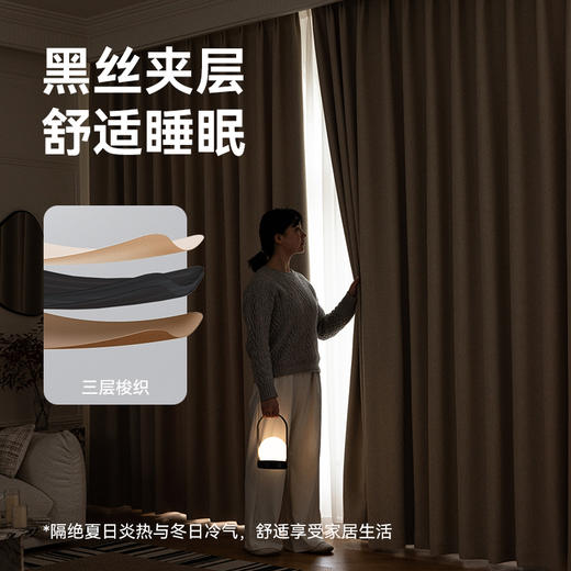 【椿山】金蝉抗菌遮光窗帘加厚雪尼尔温馨简约大气轻奢现代 商品图3