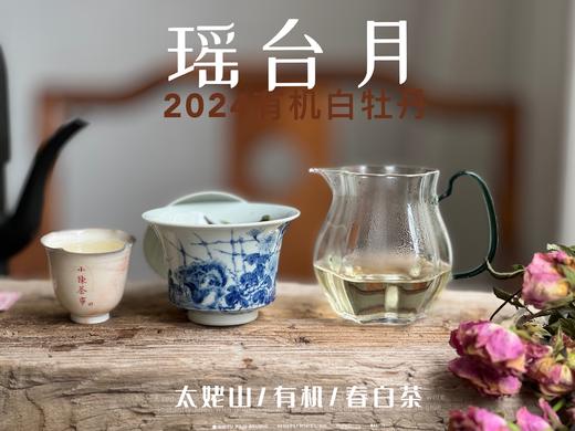 【2024春茶来了】2024有机白牡丹，牡丹王一般的秀长芽头，鹊桥仙的升级版，蕴着清雅花香的盛夏清辉，茶汤更清透 商品图11