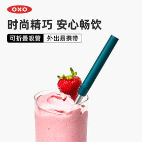 OXO 奥秀吸管便携套装（单支）蓝色OGGC11343600