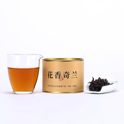 武夷山下丨花香奇兰 武夷岩茶 乌龙茶 一级 50g 商品图0