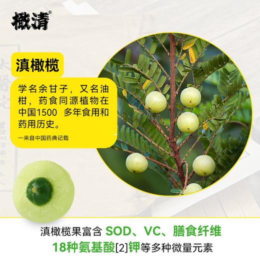 【秒杀】HOHO橄清茉莉花滇橄榄汁280ml*6瓶（经典款） 商品图1