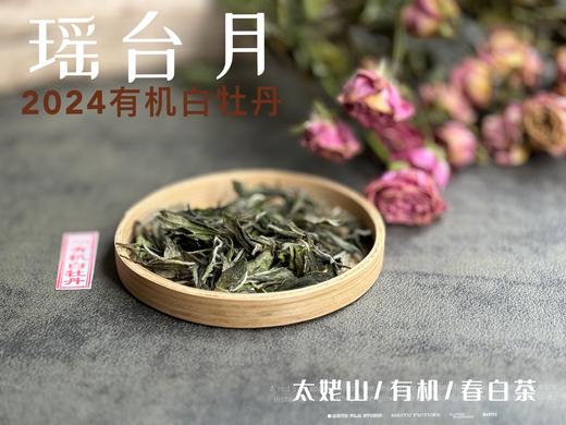 【2024春茶来了】2024有机白牡丹，牡丹王一般的秀长芽头，鹊桥仙的升级版，蕴着清雅花香的盛夏清辉，茶汤更清透 商品图2
