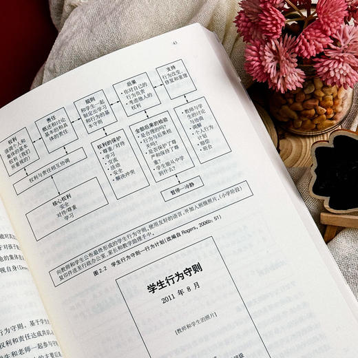 课堂行为管理指南 第四版 教学案例 课堂行为指导书 实用指南 教师教育 商品图10