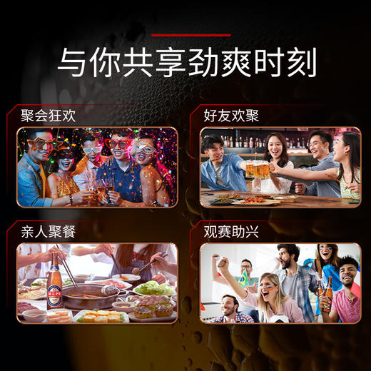 珠江啤酒 P9 560ml*12瓶整箱瓶装 低度清新酒香丰满 商品图4