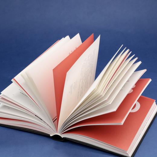 【精选推荐】《造书：西方书籍手工装帧艺术》书籍手工装帧经典之作 商品图11