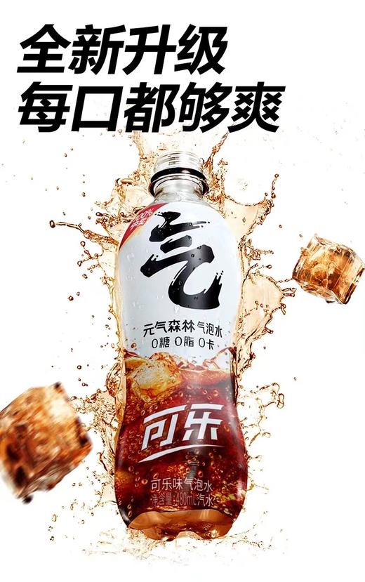 元气森林  480g*15  （仅限桂林五城区 其他地区不发货） 商品图2