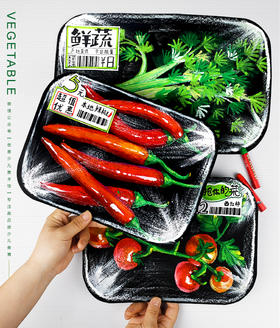 《油画棒技法练习：保鲜盒里的蔬菜》蔬菜/辣椒芹菜西红柿/写生/油画棒/动发货：下单后，点击手机短信中收到的链接，即可获取文件下载的链接；如有任何问题，可添加客服微信hm33268获得帮助。