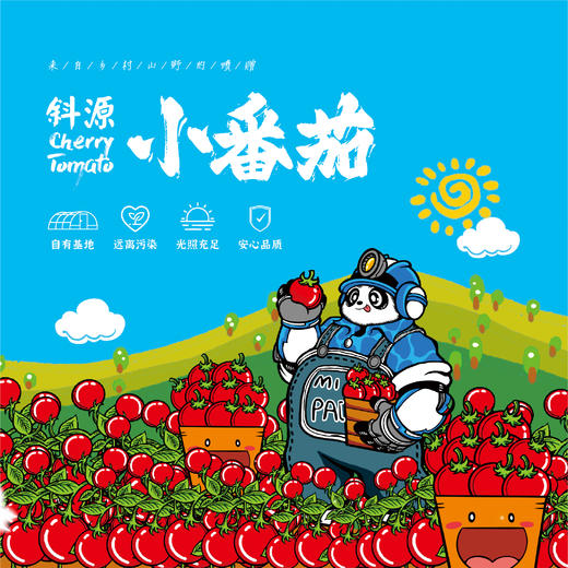 【专享】斜源爆汁小番茄1kg礼篮装自然生长无催熟无激素甜蜜可口 商品图7