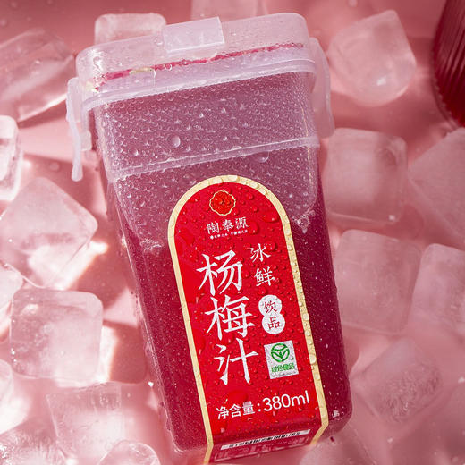 陶奉源冰鲜杨梅汁 380ml/960ml 绿色食品 低温冷榨 果汁含量≥60% 冰凉爽口 果汁饮品 商品图1