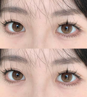 半年抛丨暮色棕·Wecute丨琥珀浅瞳色14.2mm（半年抛/2片装）