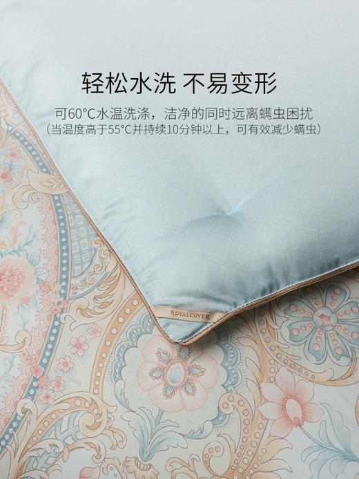 【ROYALCOVER】罗卡芙双面天丝可水洗夏被新雪丽纤维春秋被 伊芙琳 商品图2