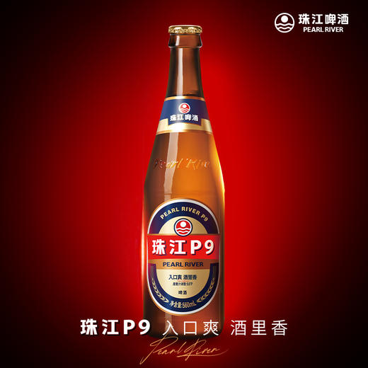 珠江啤酒 P9 560ml*12瓶整箱瓶装 低度清新酒香丰满 商品图2