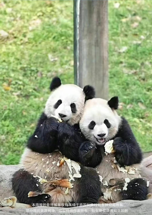 【青春飞扬，舞动重庆】动车 5 日游 商品图2