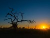 非洲南部三国狂野行摄13天（猎奇） 商品缩略图9