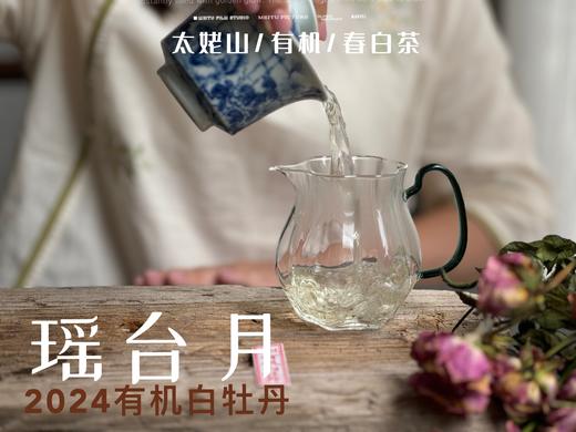 【2024春茶来了】2024有机白牡丹，牡丹王一般的秀长芽头，鹊桥仙的升级版，蕴着清雅花香的盛夏清辉，茶汤更清透 商品图8