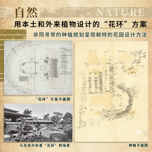 《重识赖特  超越建筑的大师》珍贵图纸徐徐展开，或虚或实的建筑群中走出一个真实而深刻的赖特 商品图2