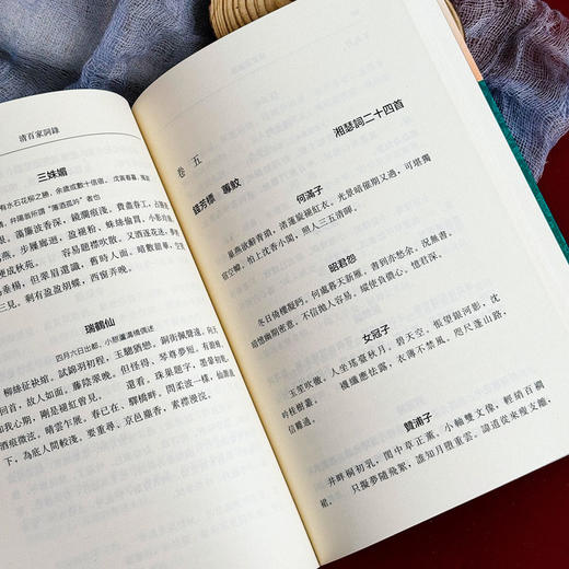 清百家词录 周大烈编选 清词选集 古典文学 商品图10