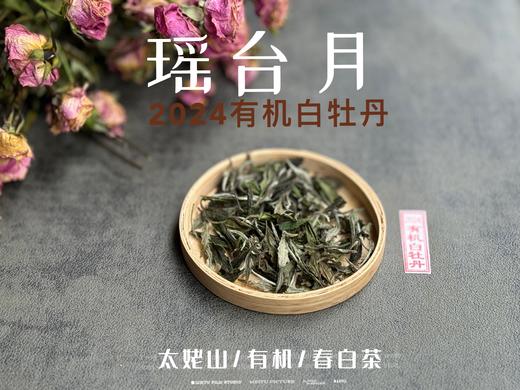 【2024春茶来了】2024有机白牡丹，牡丹王一般的秀长芽头，鹊桥仙的升级版，蕴着清雅花香的盛夏清辉，茶汤更清透 商品图0