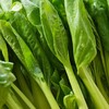 每日伊藤鸡毛菜 约200g/袋（新鲜） 商品缩略图1