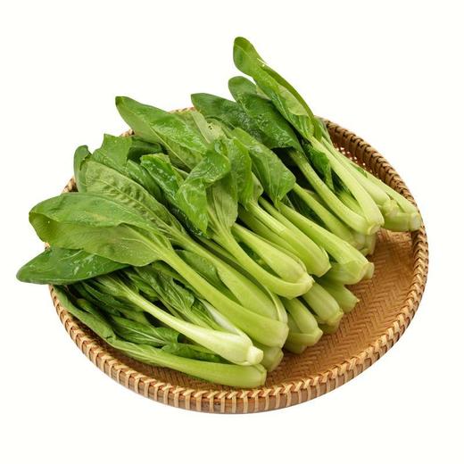 放心鸡毛菜 约200g/袋 商品图3