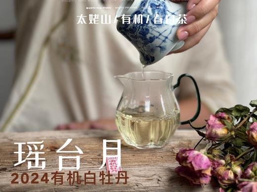 【2024春茶来了】2024有机白牡丹，牡丹王一般的秀长芽头，鹊桥仙的升级版，蕴着清雅花香的盛夏清辉，茶汤更清透 商品图9