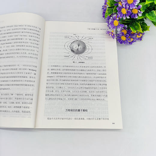 神秘的量子生命 媲美薛定谔《生命是什么》、量子生物学奠基之作 商品图2