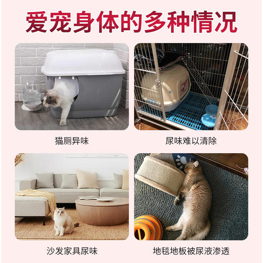 德国 cdVet 施德维特 猫厕除味剂 100ml（礼盒含喷头） 商品图1