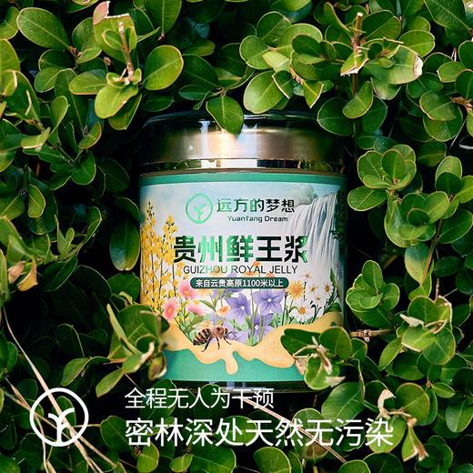 【远方检测SGS298项农残等未检出 0添加匠心之选】密林深处鲜王浆 即采即冻 源头保鲜 有特殊香味 味酸涩辛辣 250g/瓶 商品图2