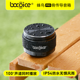 【黑科技众筹爆款新品】bocoice蜂鸟Pro骨传导蓝牙音箱