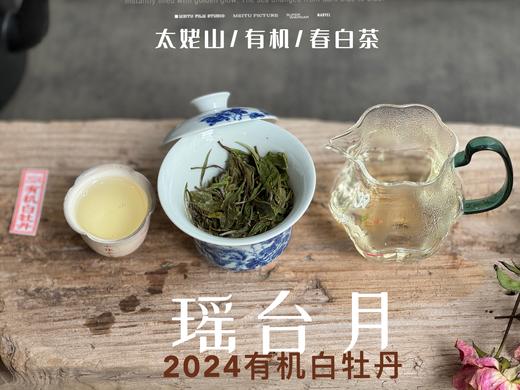 【2024春茶来了】2024有机白牡丹，牡丹王一般的秀长芽头，鹊桥仙的升级版，蕴着清雅花香的盛夏清辉，茶汤更清透 商品图10